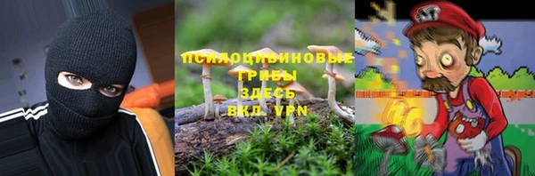 кокс Арсеньев
