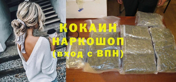 кокс Арсеньев