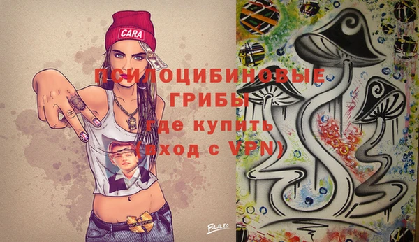 кокс Арсеньев