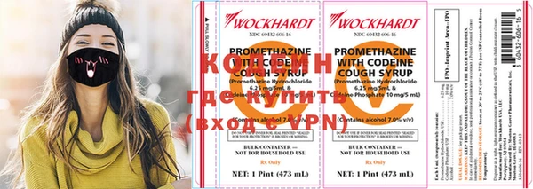 крисы Няндома