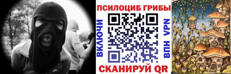 Псилоцибиновые грибы мухоморы  закладка  Спасск-Дальний 